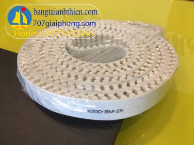 Dây PU trắng lõi thép mã 8M bản rộng 25mm chu vi nối tròn 4200mm